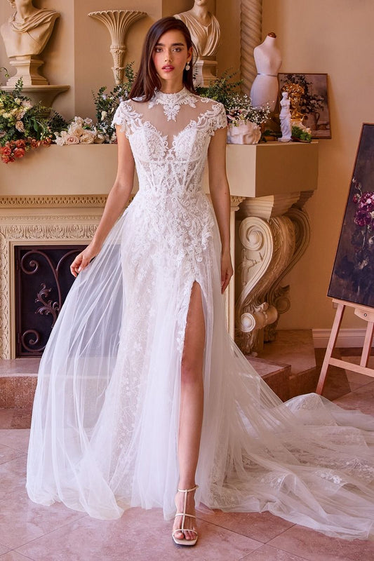 Lace & Tulle Short Sleeve Wedding Gown-1