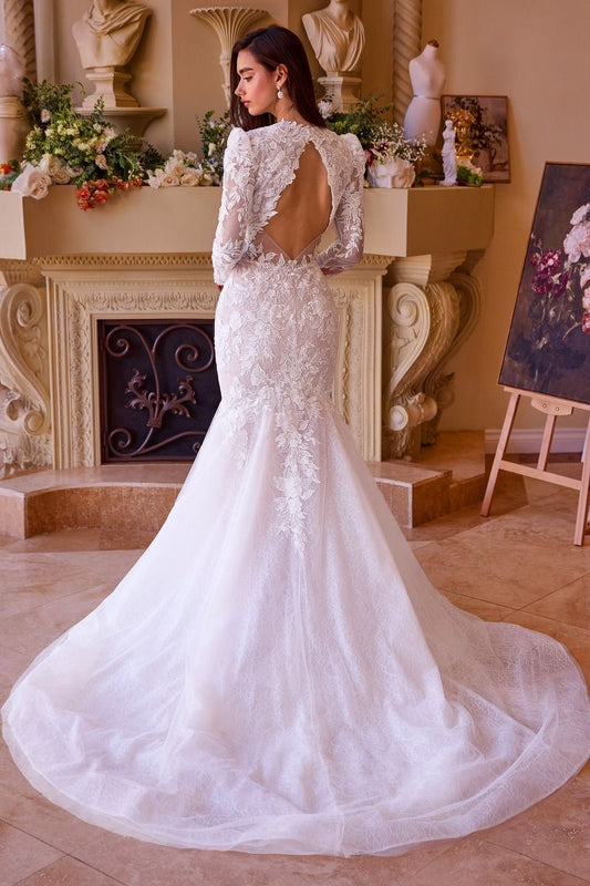 Long Sleeve Lace Mermaid Bridal Gown-1