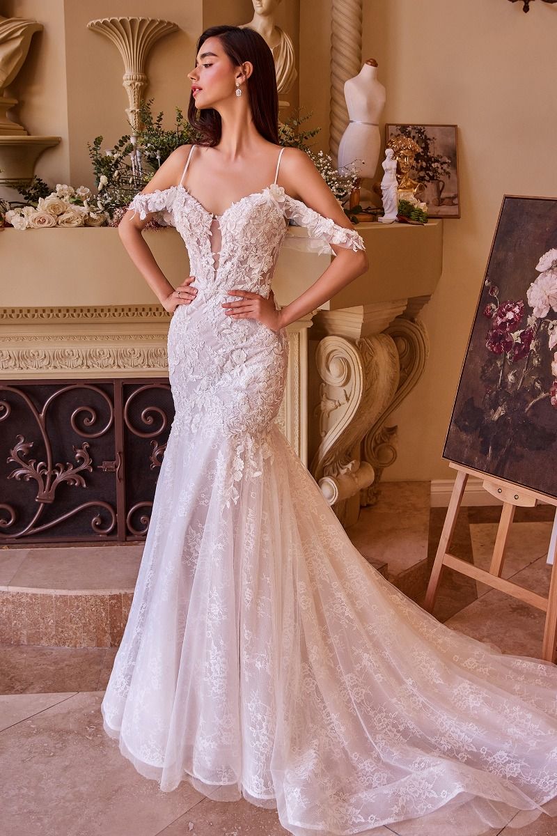 Fitted Lace Mermaid Wedding Dress-3