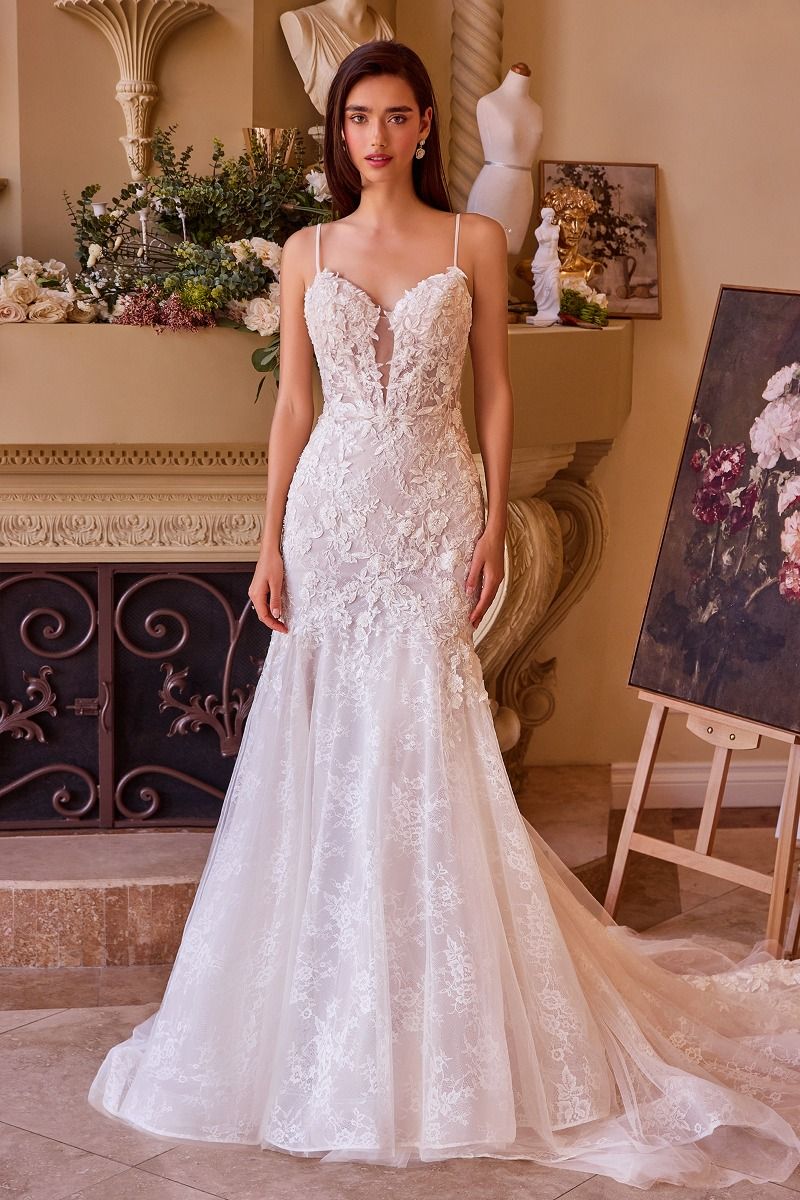 Fitted Lace Mermaid Wedding Dress-4