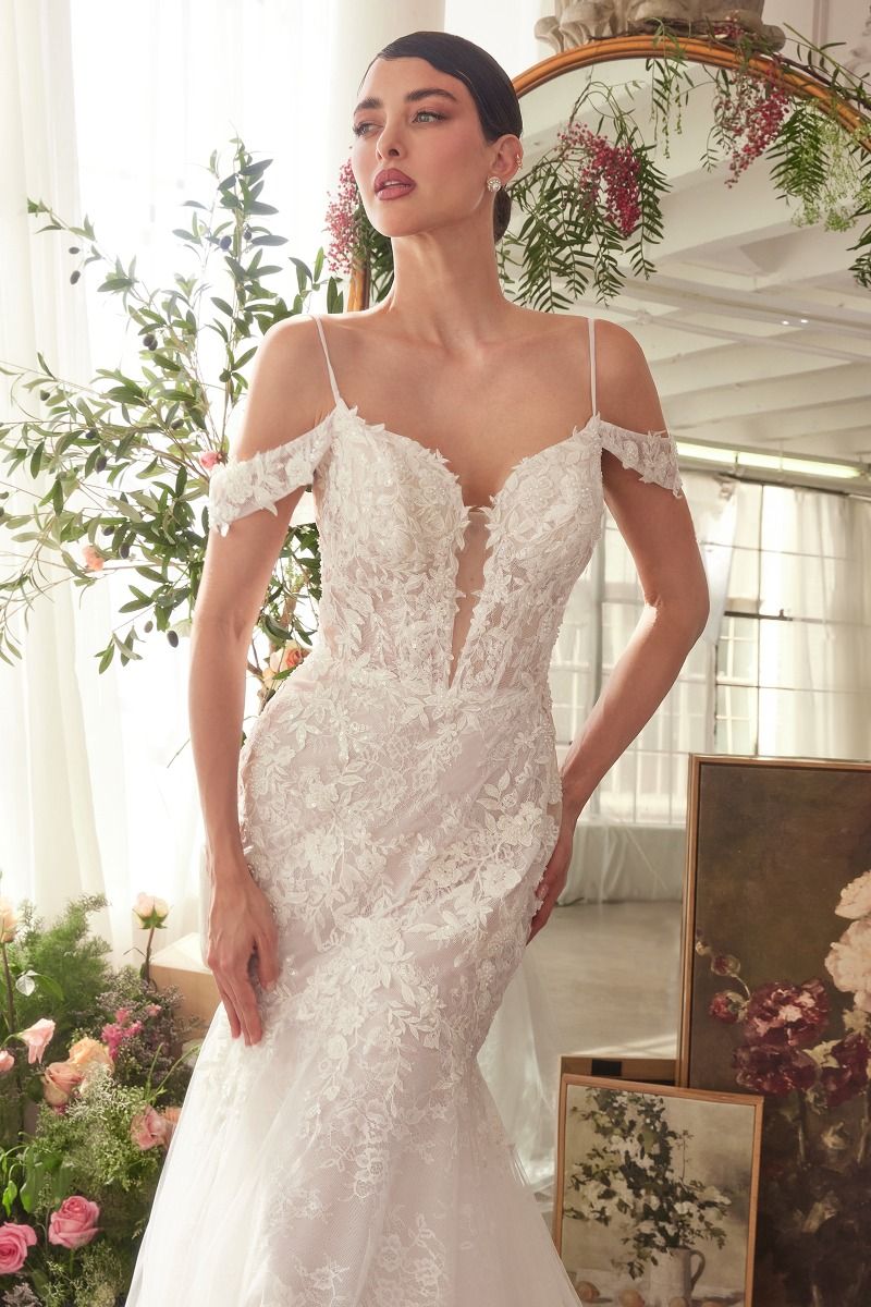 Fitted Lace Mermaid Wedding Dress-2