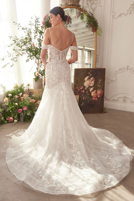 Fitted Lace Mermaid Wedding Dress-1
