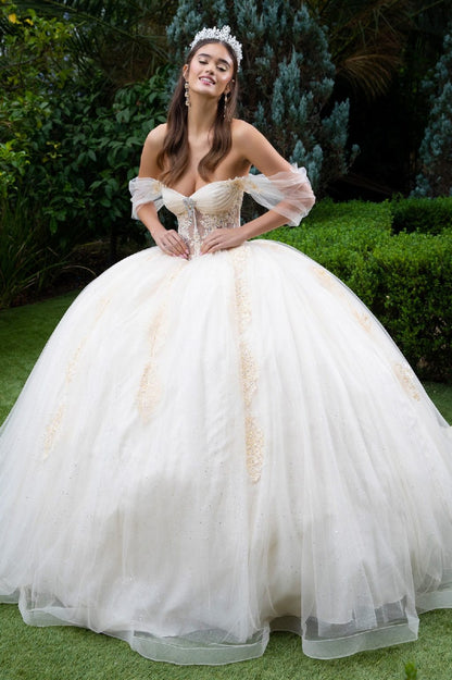 Sheer Bodice Lace Embellished Glittet Mesh Sweetheart Quinceanera Dress-5