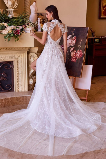 Lace & Tulle Short Sleeve Wedding Gown-3