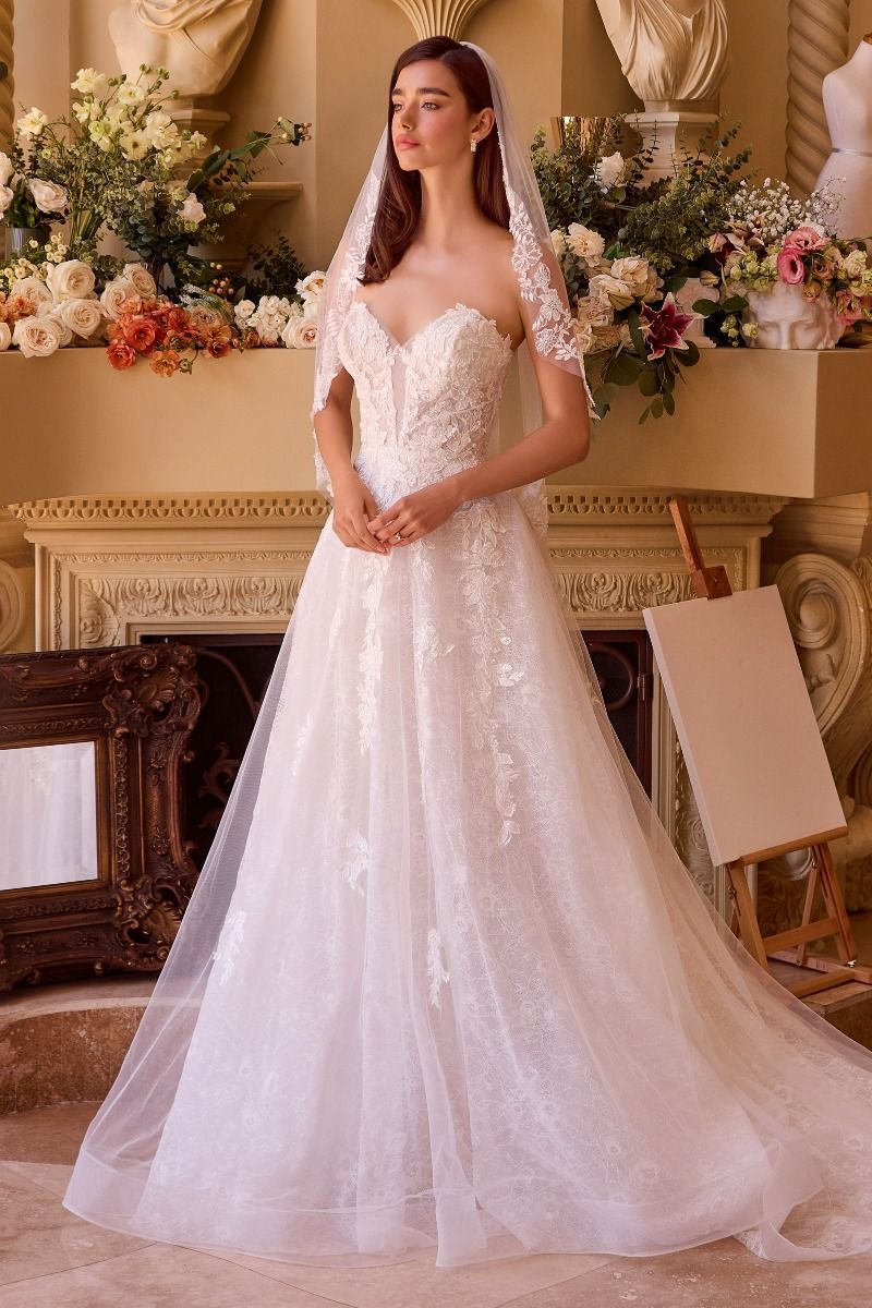 Deep Sweetheart Strapless Bridal Ball Gown-2
